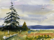 07-19-Dosewallips-tide-flat