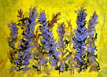 Janie-Easley-Ballard_Fiore-Lavender-1_.jpg_web980k