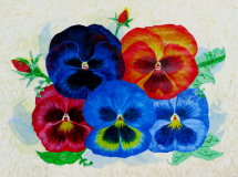 JanieEasleyBallard_Pansy-Faces_x-web887k