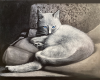 That_Look_sm That_Look_sm