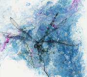 6-Graceful-Visitor-II-2021